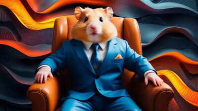 Hamster Kombat Daily Cipher Codes and Combo Cards for September 13, 2024: Unlock up to 1 million coins (Updated)