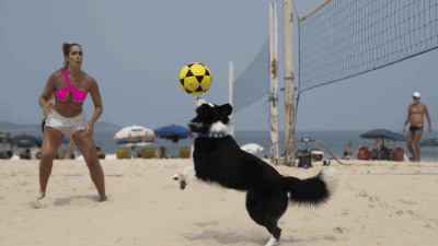 Meet Floki: A 3-year-old dog dominating footvolley on Rio's beaches