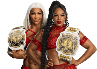 WWE Bad Blood 2024: The WWE Women’s Tag Team Champions are set to host the show