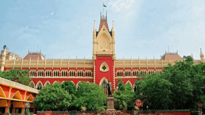 Calcutta HC grants murder accused bail as trial remains inconclusive after 11 years