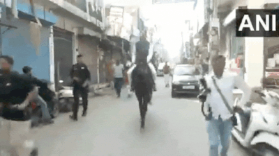 Haryana assembly elections: BJP MP Naveen Jindal reaches polling station on horse