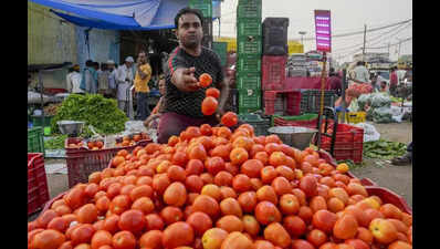 Tomatoes strikes a ton again due to unseasonal rain, virus attack