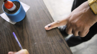 Ambala Cantt Assembly Election Result 2024: BJP's big gun Anil Vij defeats Chitra Sarwara by over 7000 votes