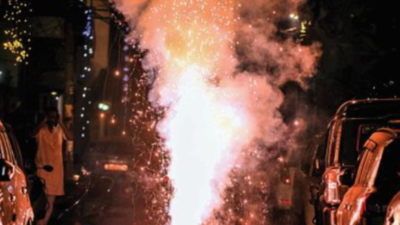 Delhi cracker ban led to 18% dip in nanoparticles in 2022: Study