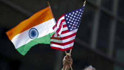 US DHS conducts removal flight to India of illegal immigrants