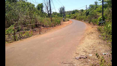 ‘Mega projects will harm Agonda ecology’