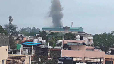 'My lungs will die before me': Delhi waste-to-energy plant has ruined our lives, say residents
