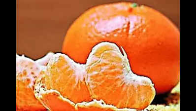 Meghalaya’s GI-tagged Khasi mandarin exported to Dubai