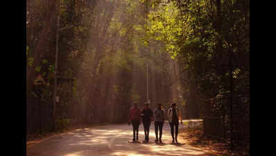 At 8.9°C, Pune colder than J&K’s Katra and Himachal Pradesh's Dharamshala