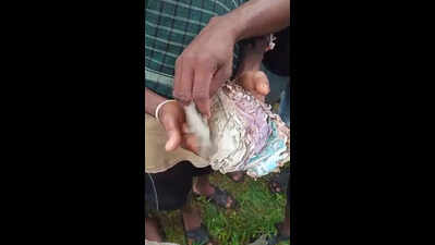 A father’s final gift: Koraput family finds part of hidden wealth