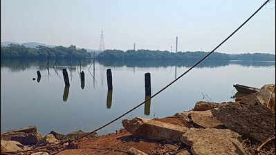 NGT gives Centre 4 weeks to reply in Borim bridge matter