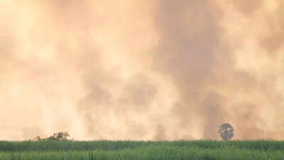 Indian techie warns even Bangaluru struggles to breathe amid India's escalating air pollution crisis