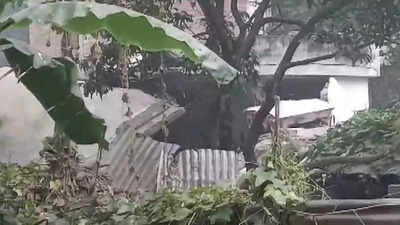 3 dead in bomb blasts in West Bengal's Murshidabad