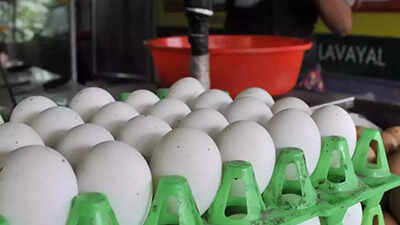 Ahead of Christmas, egg price jumps to Rs 90