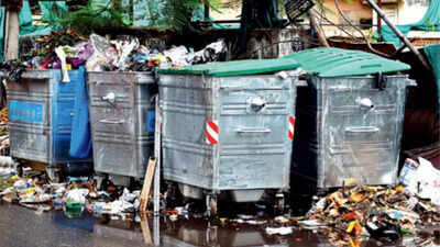 Chennai: Shops without garbage bins most common civic offence; Rs 37.59 lakh collected