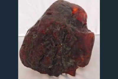 Elderly woman's doorstop turns out to be ₹8.49 Crore and world's largest Amber gemstone