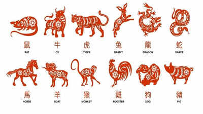 Chinese Zodiac Signs 2025: Zodiac Signs That Are Set for Success in the year 2025