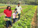 Bask in the simple joys of farm life in NCR