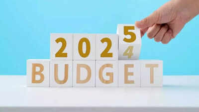 Budget 2025: Manufacturing sector urges pro-local policies, GST cuts, and tax reforms ahead of union budget