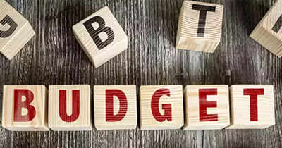 Budget 2025: Presumptive tax regime may be expanded to cover AI, data centres, cloud computing and others