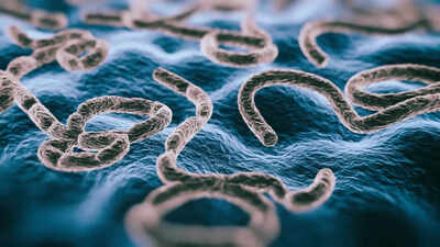 Uganda Ebola outbreak kills 1; top signs and symptoms of the deadly disease