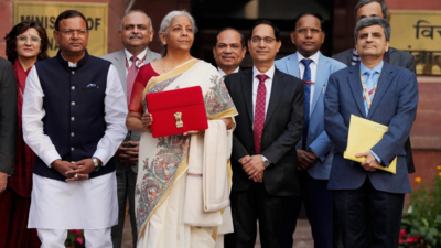 Budget 2025: Nikhil Kamath's big idea for this 'Superfood for the World' gets FM Nirmala Sitharaman's stamp with this Big announcement