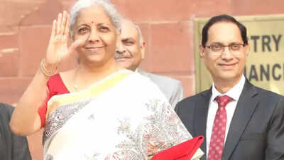 "Took a month to make the saree Sitharaman wore on Budget Day," says Dulari Devi