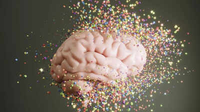 Deadly impact of microplastics: How they block blood flow in the brain, study reveals