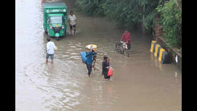 Chief secretary: Acquire land soon for drain at flood-prone Narsinghpur