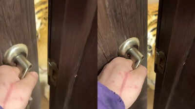 “Incredible, but also terrifying up close": Woman's viral encounter with a tiger outside her house leaves the internet stunned