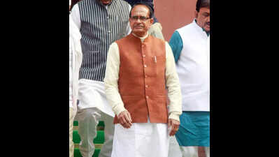Union minister says India balances WTO commitments, farmer interests