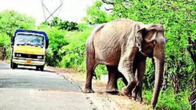 Kerala budget 2025: Rs 50 crore package for mitigation of man-animal conflict