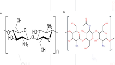 Underscoring the immense potential of chitosan in fighting a wide spectrum of viruses: A plausible molecule against SARS-CoV-2?