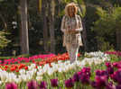 Embassy of Netherlands hosts tulip garden preview at Ambassador's Residence