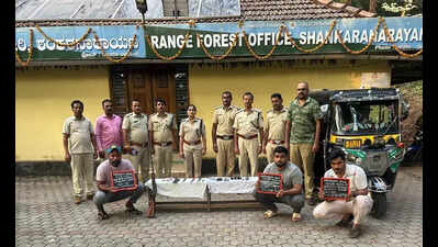 Karkala range officials catch suspects for poaching Indian gaur