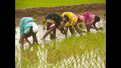 CM: Goa will alter laws to implement new agriculture policy