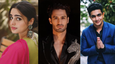 Ranveer Allahbadia Controversy: Ayesha Khan, Umar Riaz and others express their opinion over BeerBicep's remarks