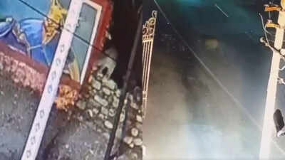Leopard charges at milkman on bike in shocking Udaipur encounter, video goes viral