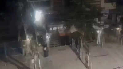 'Felt as if the bridge was collapsing': Delhi residents recall panic after earthquake tremors