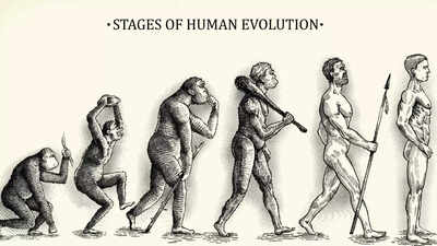 Are we still primitive? The science behind human power struggles