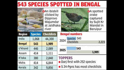 Third time in a row, Bengal tops bird count list in India