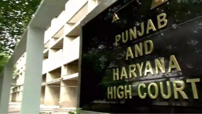 HC gives Bhagwant Mann govt 30 days to act against illegal immigration agents