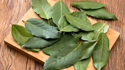 ​Are bay leaves safe to eat? Know the potential risks