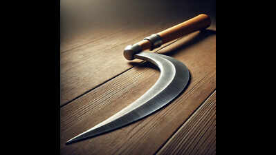 Tamil Nadu shocker: Man attacks wife, 3 children with sickle, 2 kids die