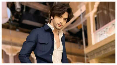 ​Ashish Dixit on Chhathi Maiyya Ki Bitiya going off air: The show ended abruptly but we don't know the exact reason