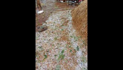 Hailstorms hit K’jhar, damage crops