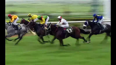 Mohali gears up to host Punjab’s first equestrian festival