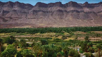 Countries that do not have rivers including Saudi Arabia, Qatar, Oman and more