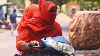 Andhra Pradesh faces record heat and extreme weather: 50 lives lost in 2024