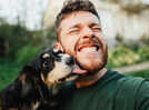 Anti-aging pills for your dogs move closer to FDA approval